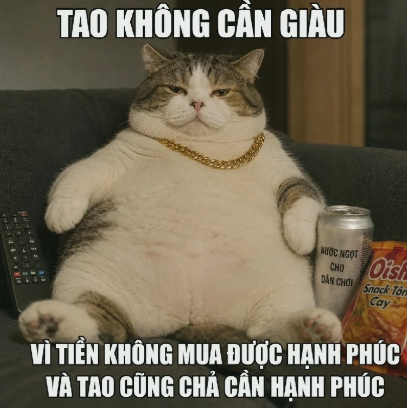 Mèo thả lỏng meme mèo hạnh phúc thư giãn