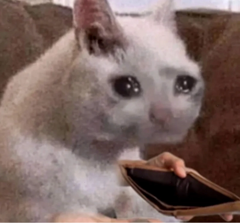 meme mèo hét meme mèo hét