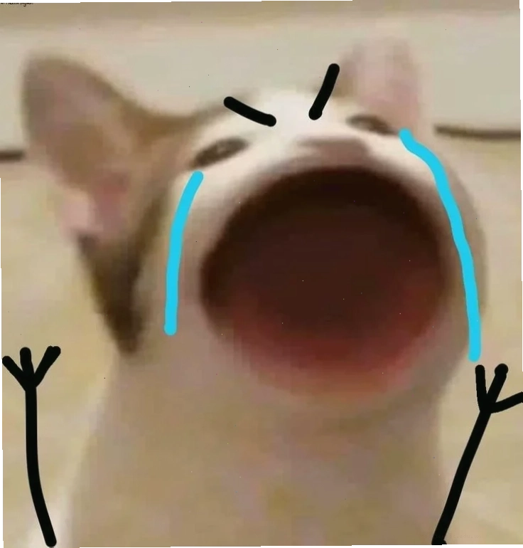 meme mèo hét meme mèo hét