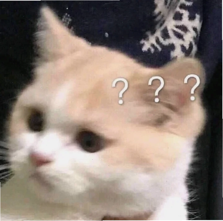 meme mèo hỏi chấm khó hiểu