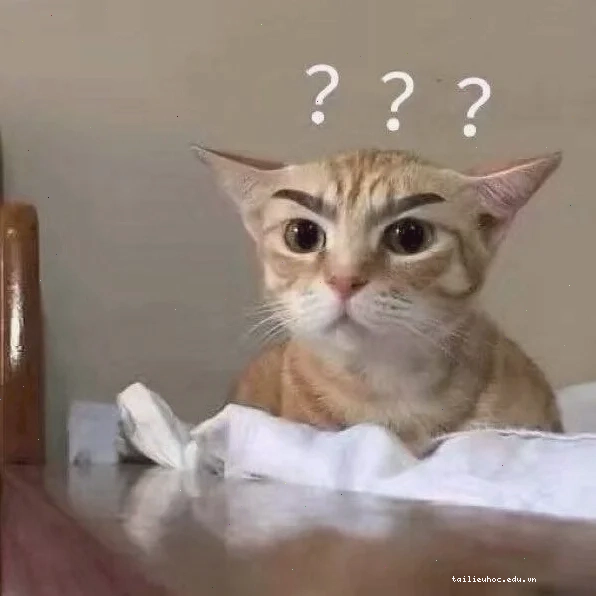 meme mèo hỏi chấm trắng đen
