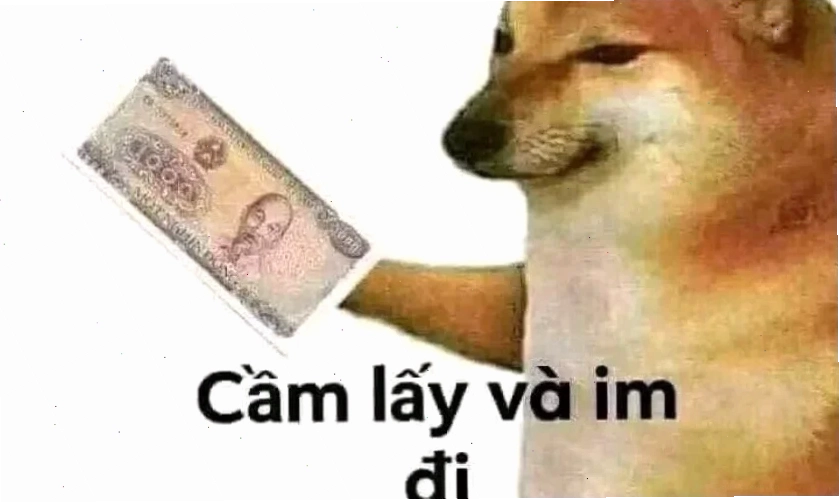 Meme mèo khung trắng làm hình nền hài bựa