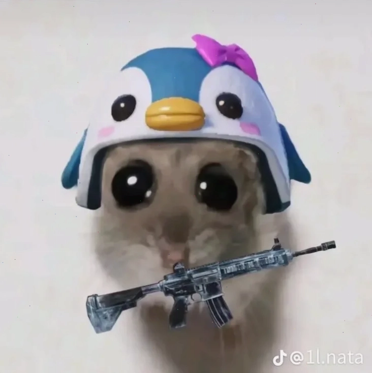 Mèo lạnh meme mèo lạnh lùng