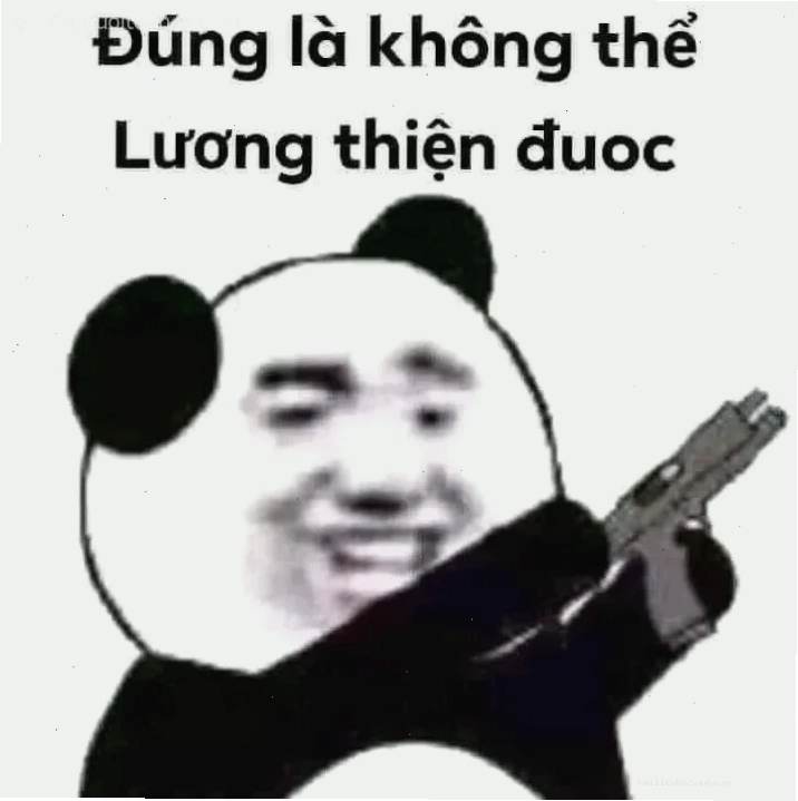 Lính đánh thuê meme mèo lính đánh thuê