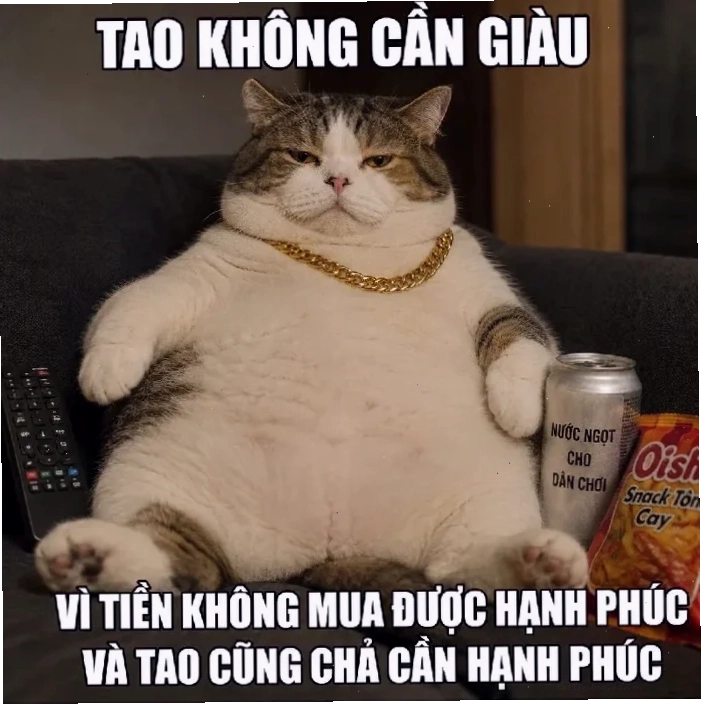 mèo trầm tư meme mèo mập suy tư