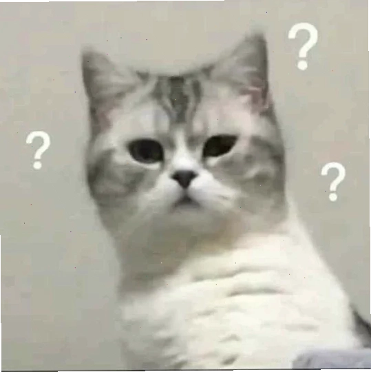 meme mèo mặt đơ
