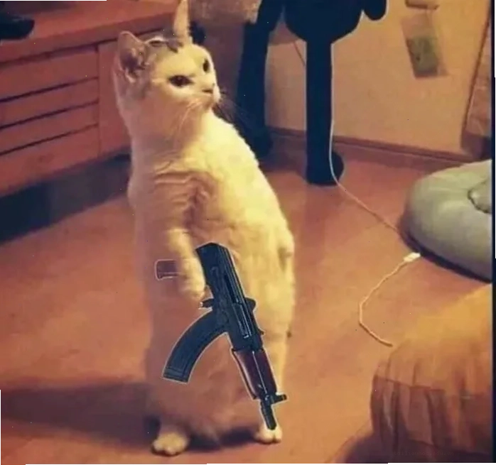 Mắt mèo meme mèo mắt long sòng sọc