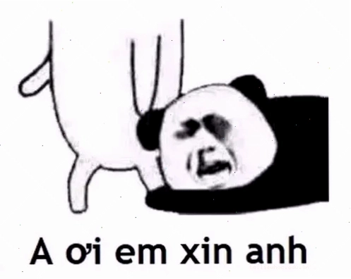 Mèo tặng hoa meme mèo năn nỉ cầm hoa