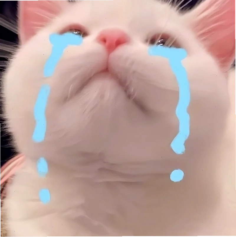 Mèo năn nỉ buồn ngủ meme mèo năn nỉ đang ngủ