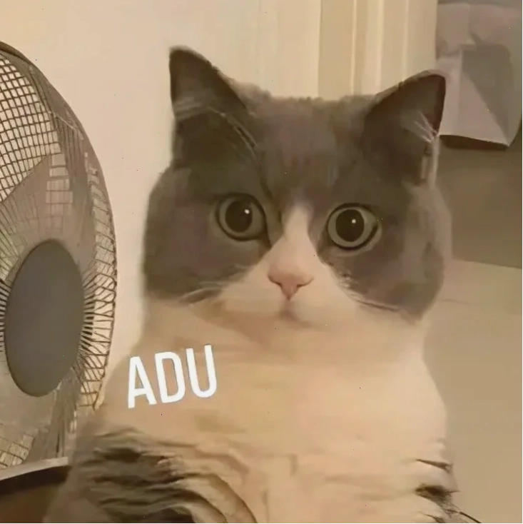 Mèo sốc nặng meme mèo ngạc nhiên miệng há hốc
