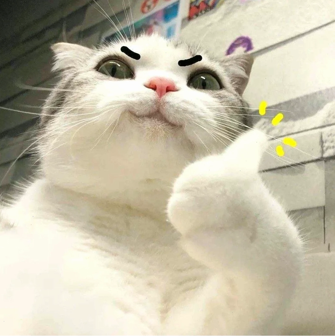 Mèo nhìn cam meme mèo ngạc nhiên nhìn vào máy ảnh