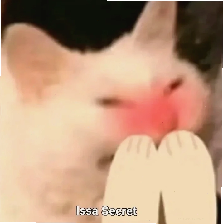 Mèo che chân Meme mèo ngại ngùng che bằng chân