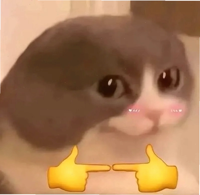 Mèo ngơ ngác Meme mèo ngại ngùng đang ngơ ngác