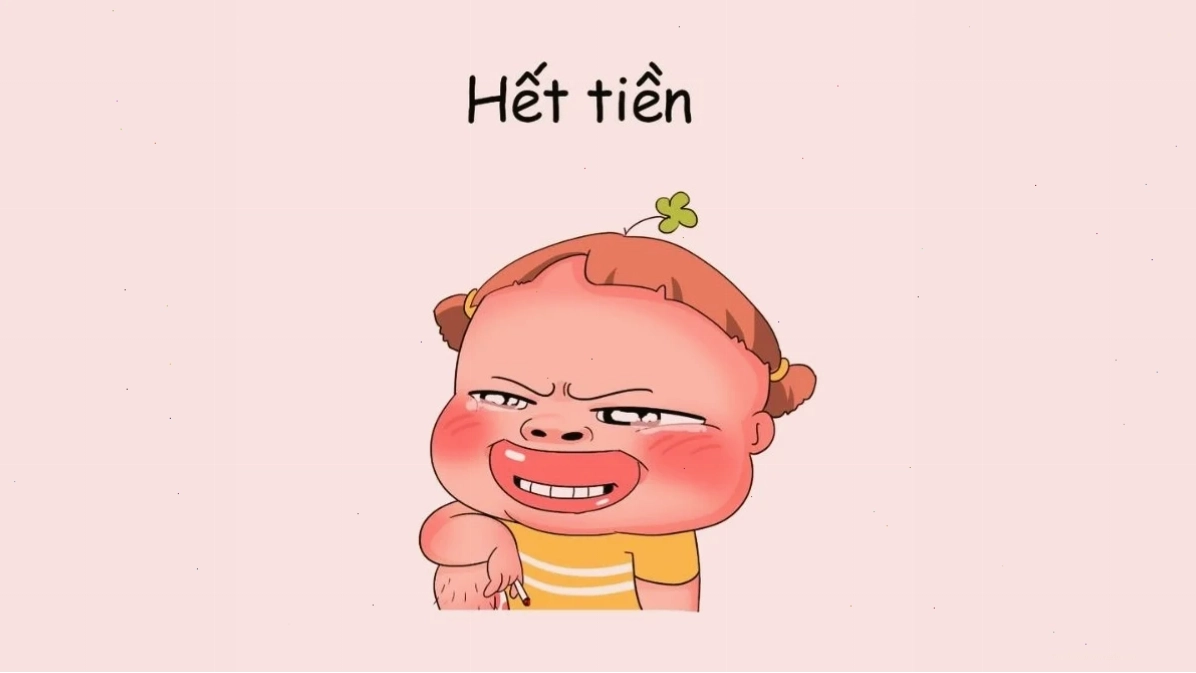 Meme mèo ngáo khung hình làm hình nền hài bựa
