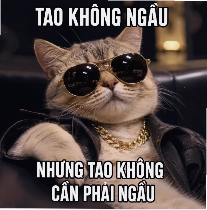 mèo ngồi trên ghế sếp meme mèo ngầu