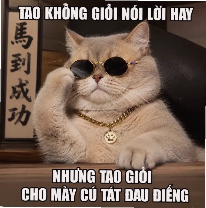 mèo ngồi khoanh tay meme mèo ngầu