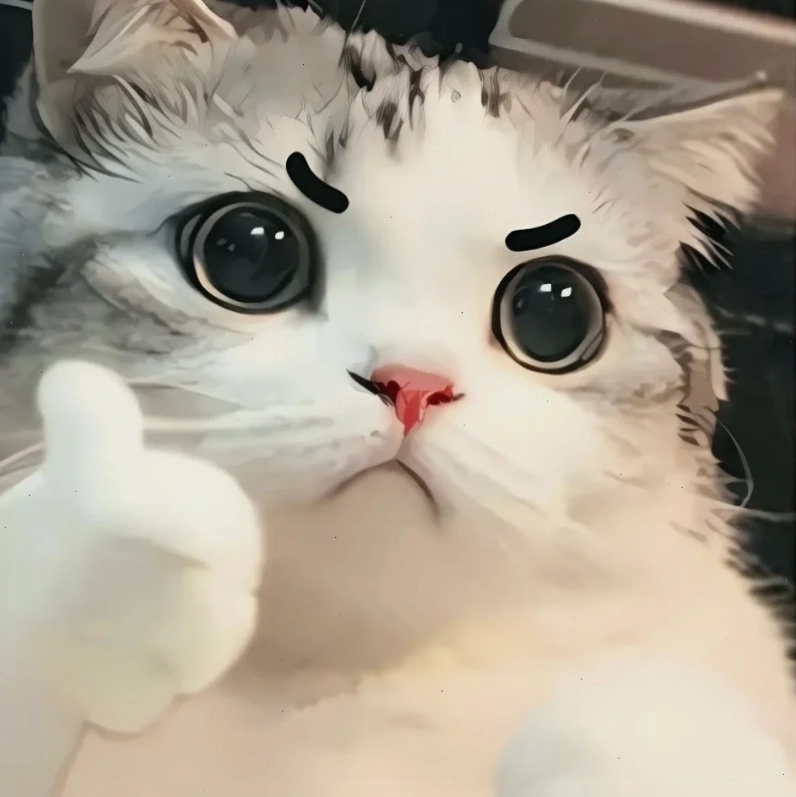 mèo đeo dây chuyền vàng meme mèo ngầu