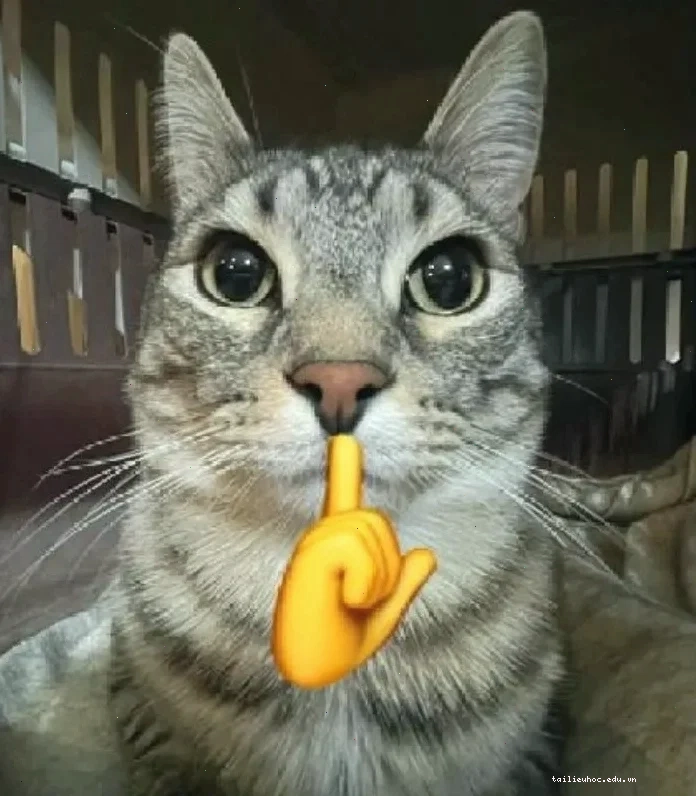 mèo đứng dậy chào meme mèo ngầu