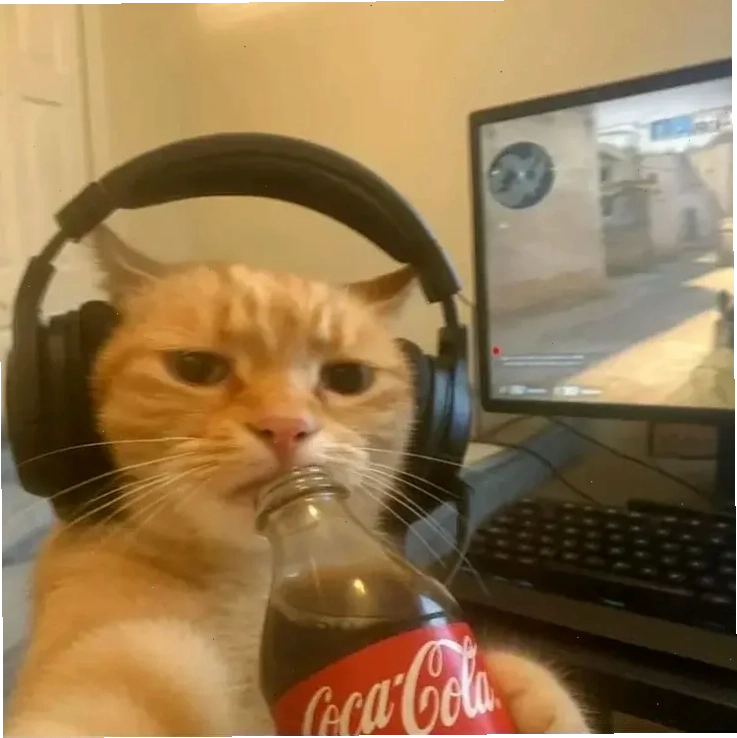 mèo hút thuốc cực chất meme mèo ngầu