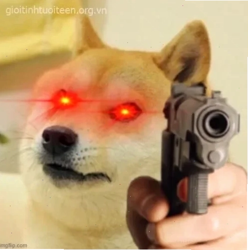 Mèo nghiêm khắc meme mèo nghiêm khắc