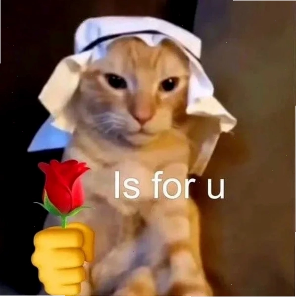 Meme mèo nháy mắt xinh đẹp tuyệt vời meme