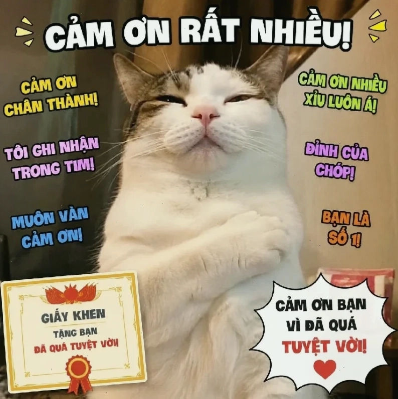 meme mèo nhớ người yêu đang buồn ngủ
