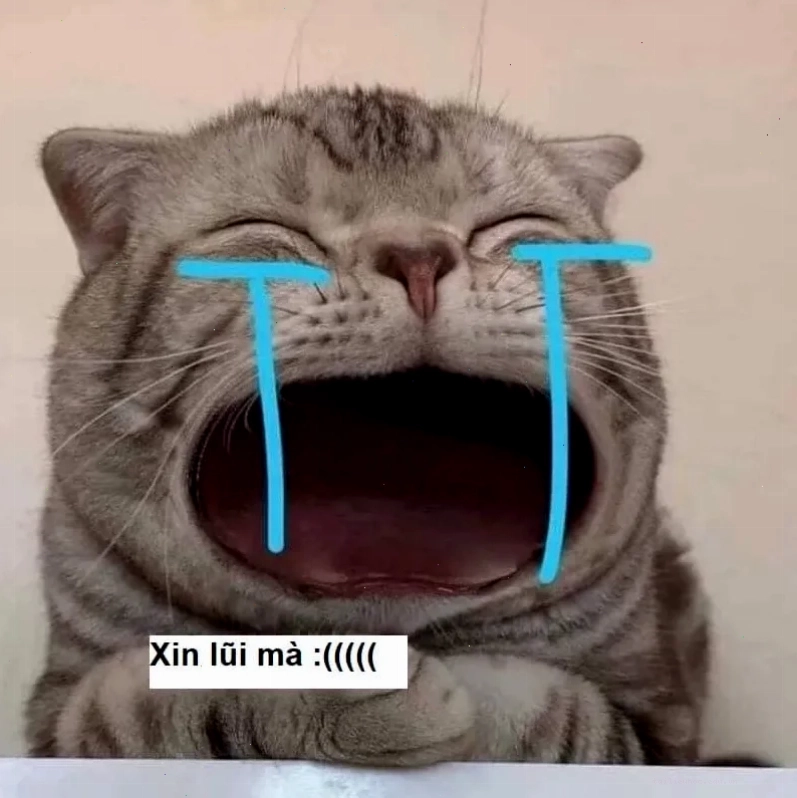 meme mèo nhớ người yêu đang cười