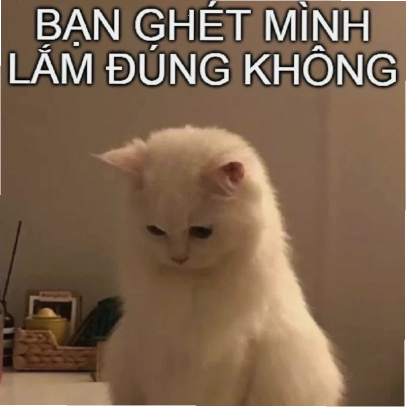 meme mèo nhớ người yêu đang gọi tên
