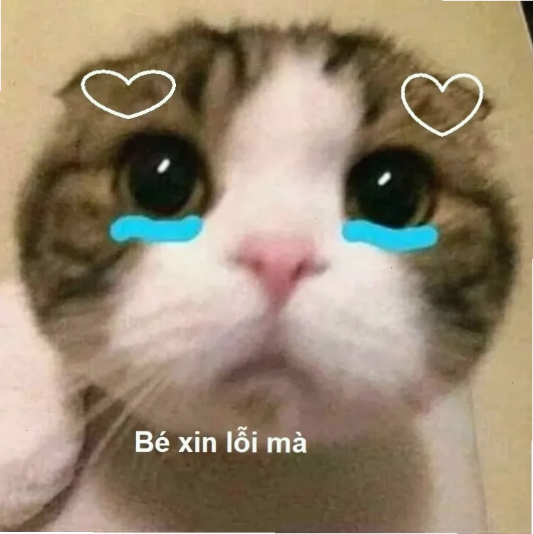 meme mèo nhớ người yêu đang hy vọng
