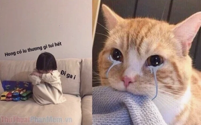 meme mèo nhớ người yêu đang nũng nịu