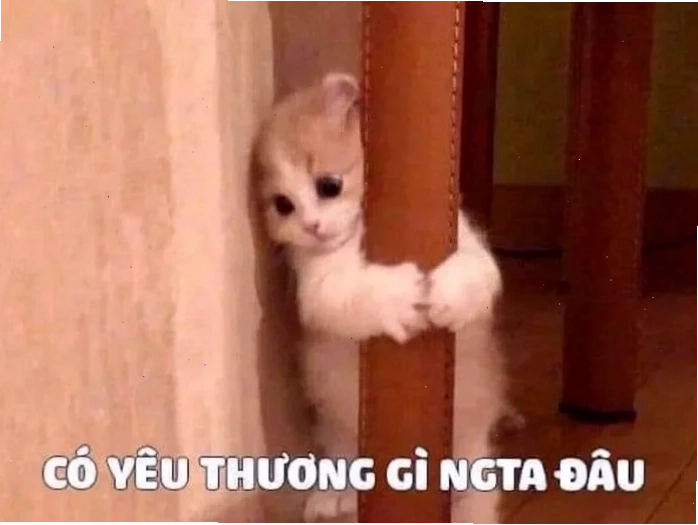 meme mèo nhớ người yêu đang ôm gối
