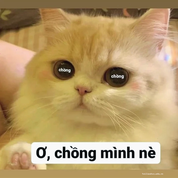 meme mèo nhớ người yêu đang suy tư