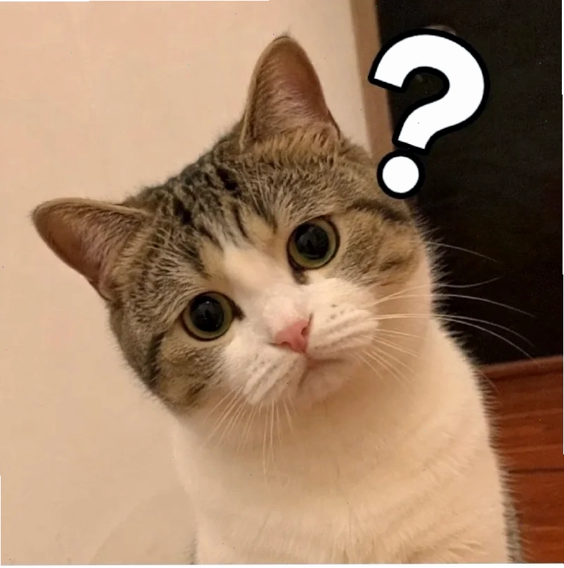 meme mèo nó to như này này đang buồn ngủ