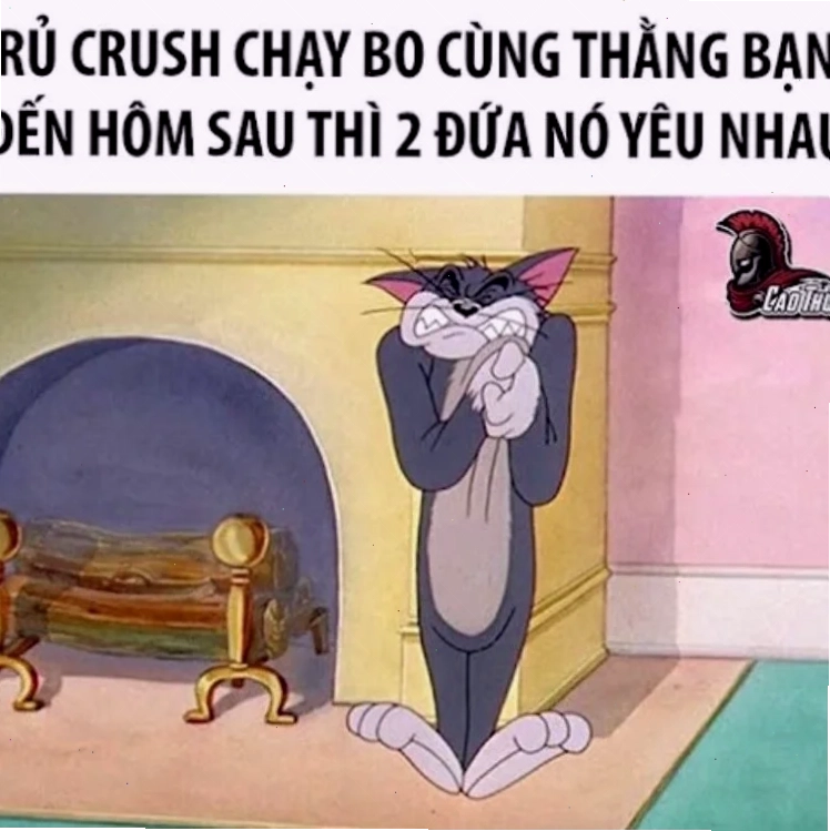 meme mèo nó to như này này đang chơi đùa