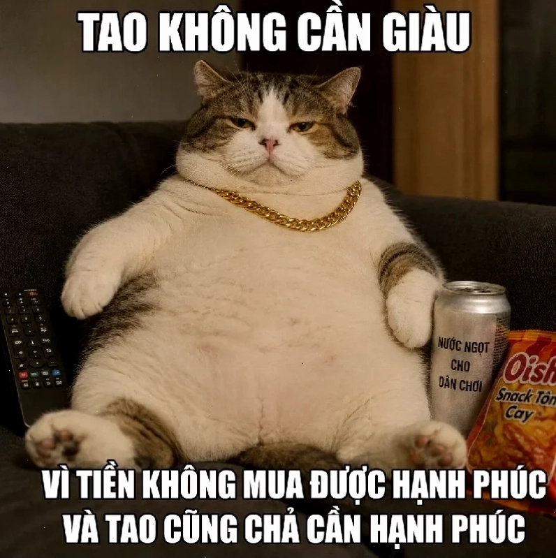 meme mèo nó to như này này đeo kính