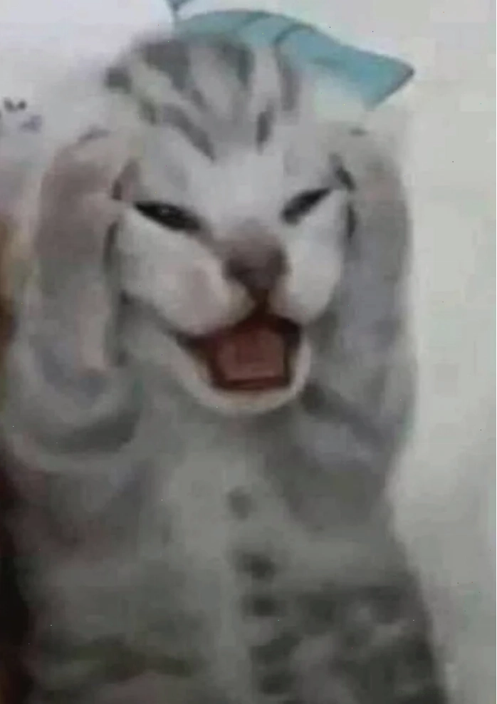 Mèo ôm đầu buồn meme mèo ôm đầu