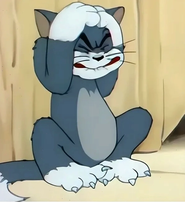 Mèo ôm đầu kinh ngạc meme mèo ôm đầu hài hước