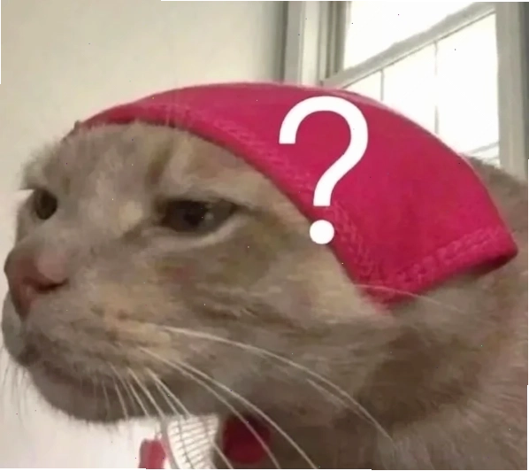 meme mèo phản ứng