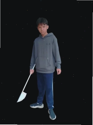 Mèo troll meme mèo phóng lợn troll