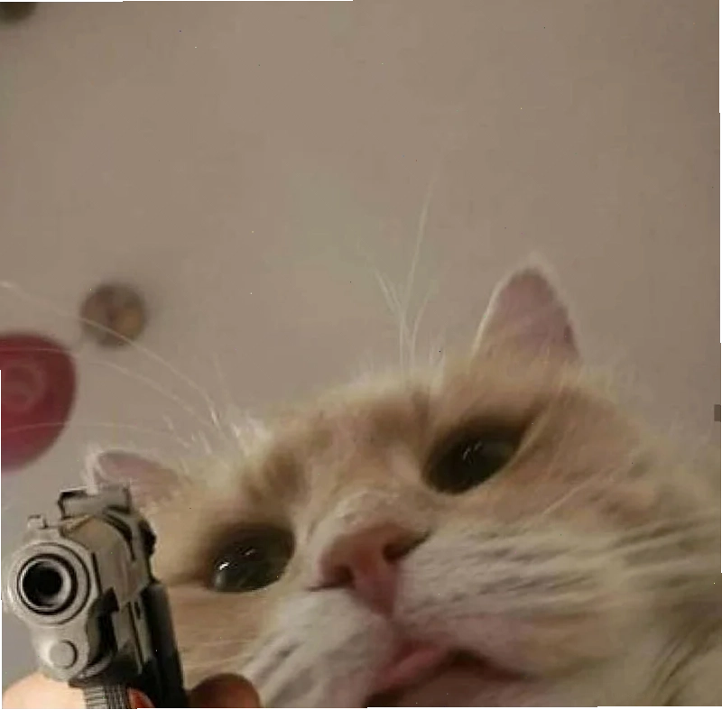 Mèo quyết liệt meme mèo quyết liệt