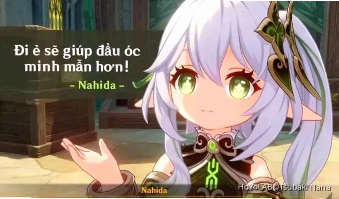 meme mèo sự thật nổ não meme mèo sự thật nổ não ấn tượng