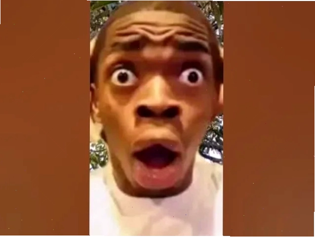 meme mèo sự thật nổ não meme mèo sự thật nổ não đặc sắc