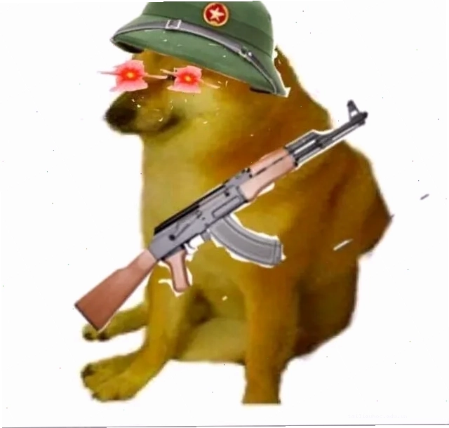Mèo AK meme mèo súng AK