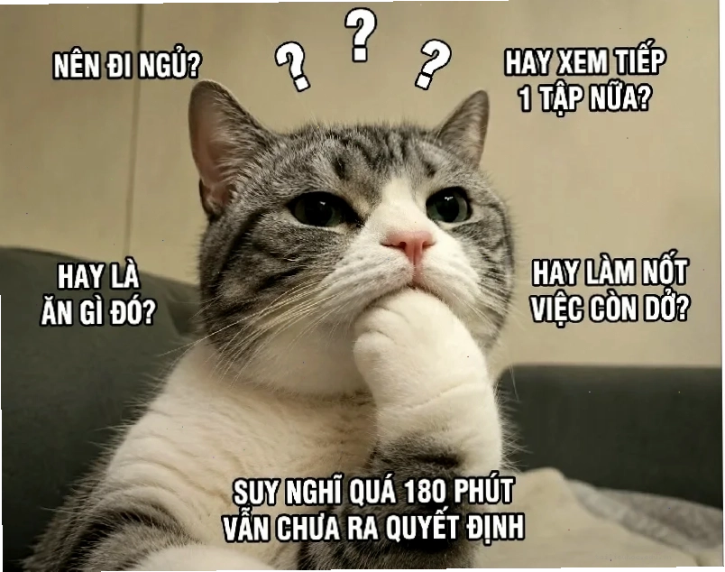Mèo ngơ ngác meme mèo suy nghĩ