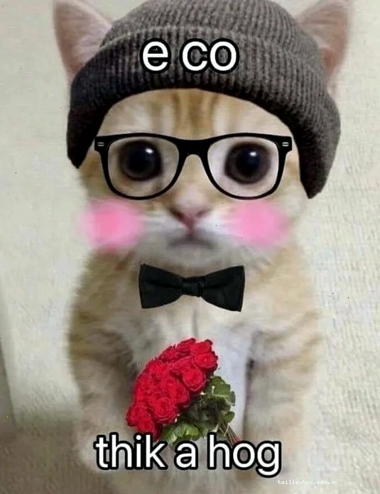 meme mèo tặng nhẫn chú mèo tạo dáng ngầu cùng nhẫn