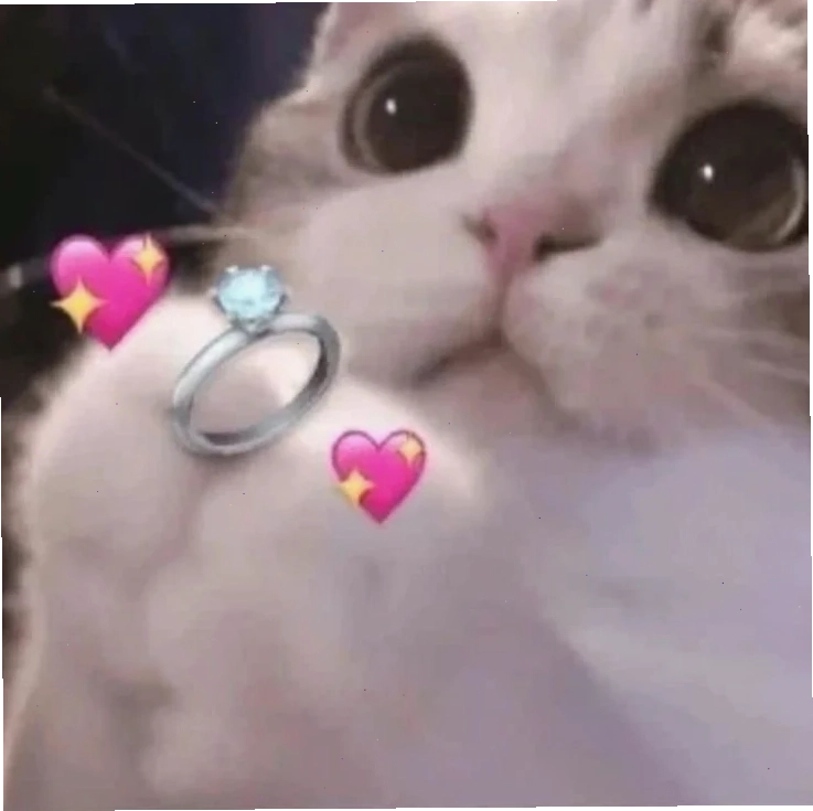 meme mèo tặng nhẫn mèo đen cầm nhẫn đầy ma mị