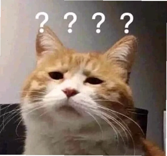 meme mèo trợn mắt