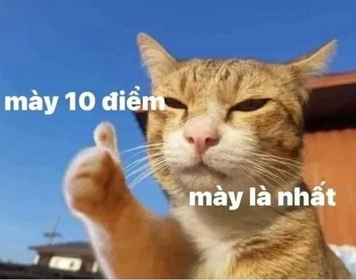 meme mười điểm độc lạ meme mười điểm độc lạ