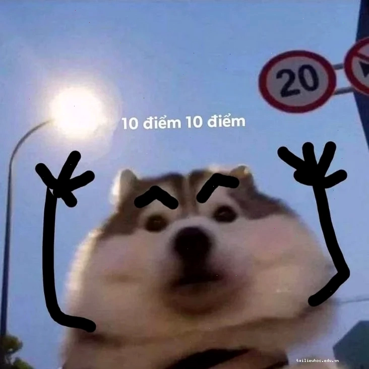 meme mười điểm vui nhộn meme mười điểm hài hước