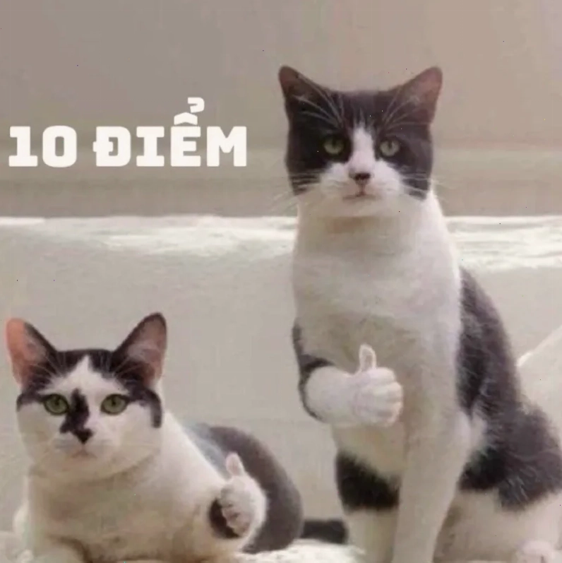 meme mười điểm kinh điển meme mười điểm kinh điển